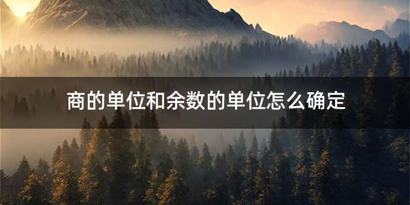 商的单位和余数的单位怎么确定