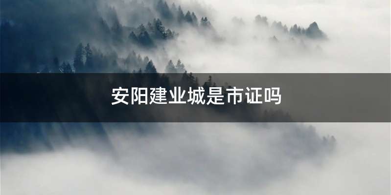 安阳建业城是市证吗