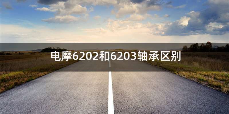 电摩6202和6203轴承区别