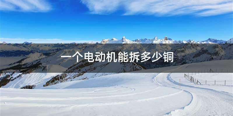 一个电动机能拆多少铜