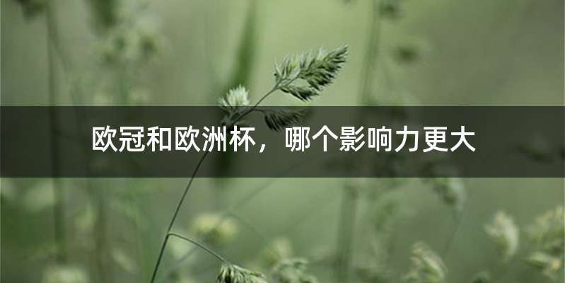 欧冠和欧洲杯,哪个影响力更大