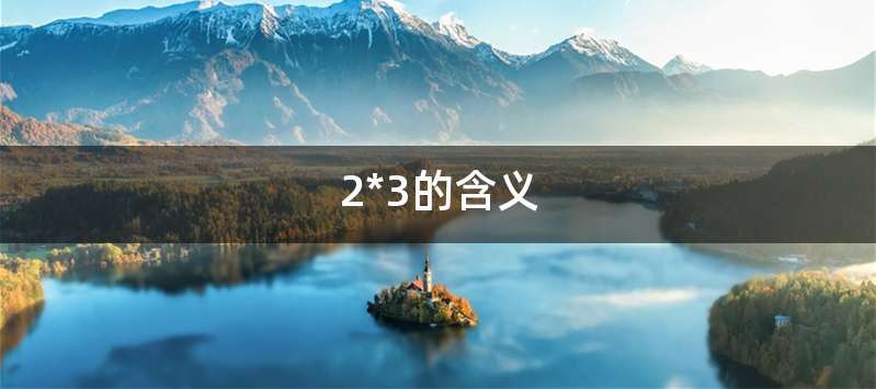 2*3的含义