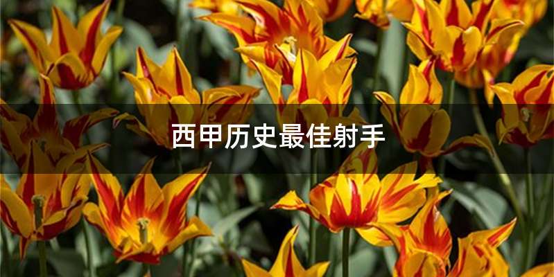 西甲历史最佳射手