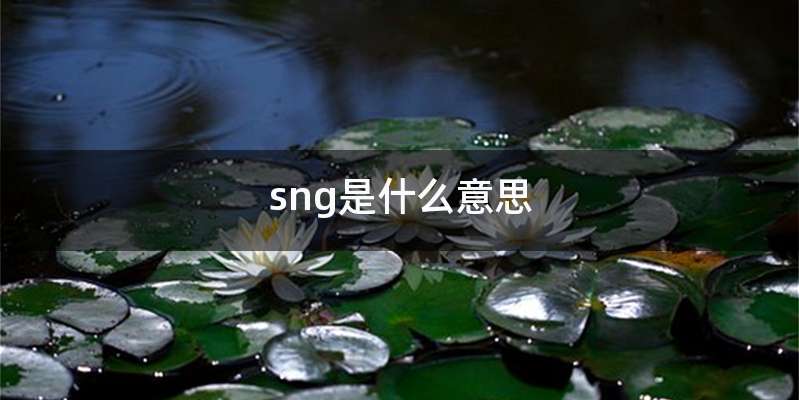 sng是什么意思