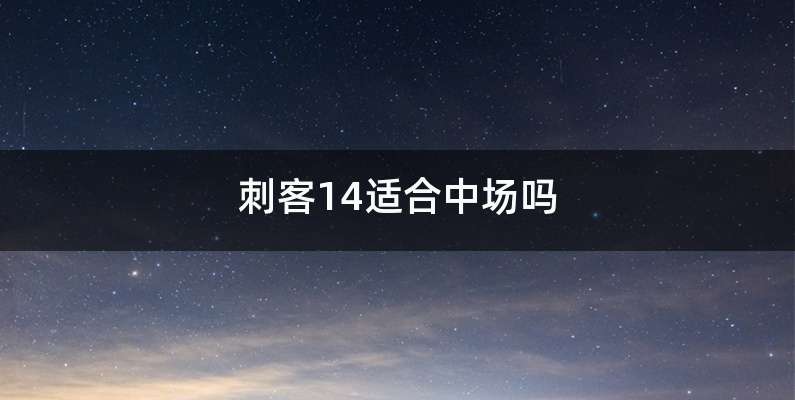 刺客14适合中场吗