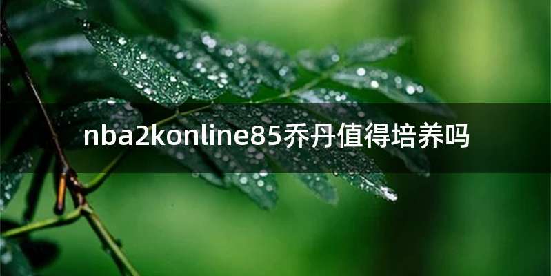 nba2konline85乔丹值得培养吗
