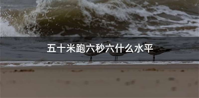 五十米跑六秒六什么水平