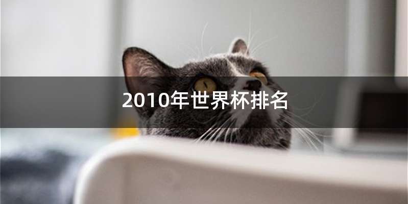 2010年世界杯排名