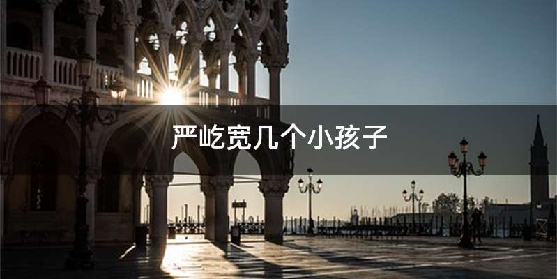 严屹宽几个小孩子