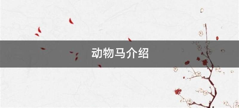 动物马介绍