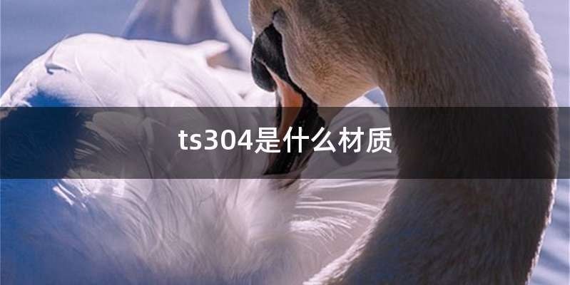 ts304是什么材质