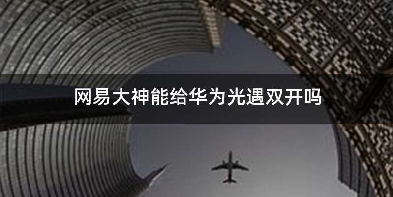 网易大神能给华为光遇双开吗