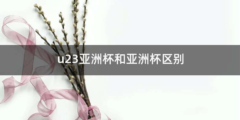 u23亚洲杯和亚洲杯区别