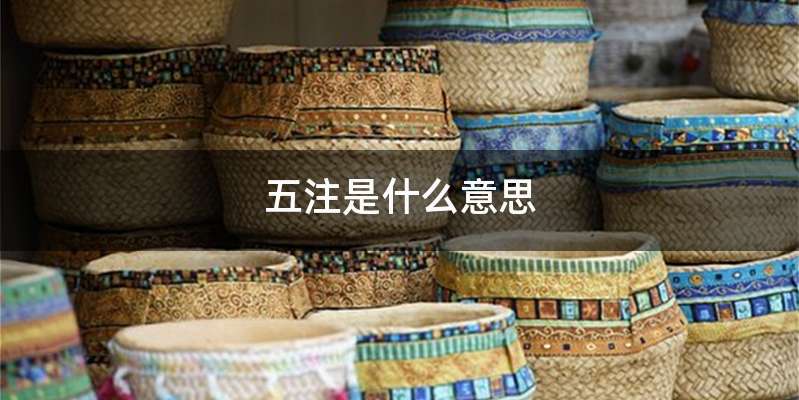 五注是什么意思