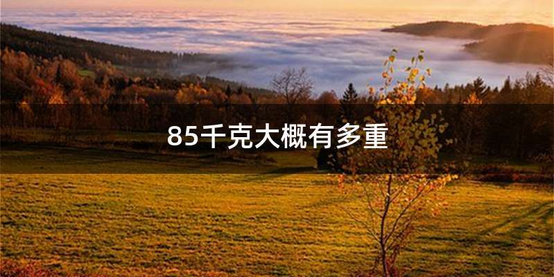 85千克大概有多重