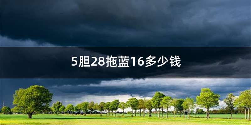 5胆28拖蓝16多少钱