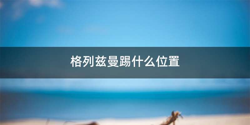 格列兹曼踢什么位置