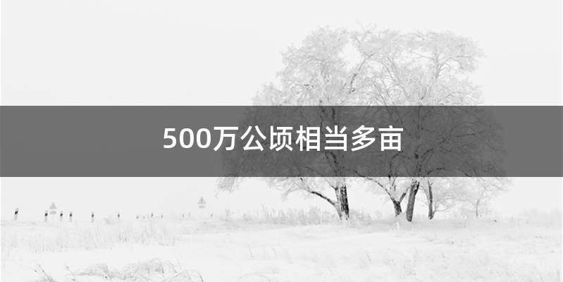 500万公顷相当多亩