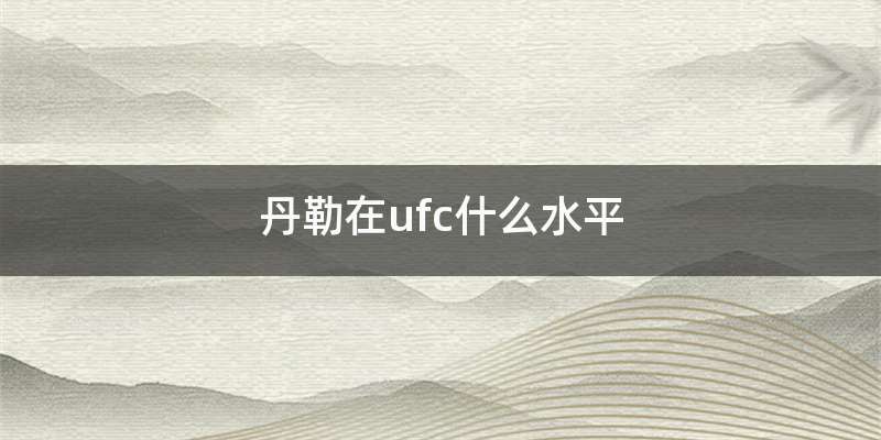 丹勒在ufc什么水平
