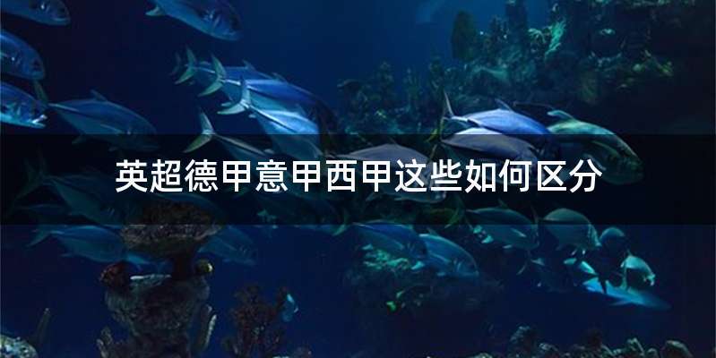 英超德甲意甲西甲这些如何区分