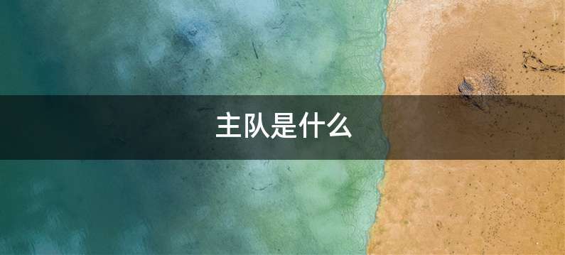 主队是什么