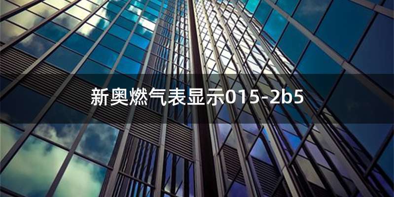 新奥燃气表显示015-2b5