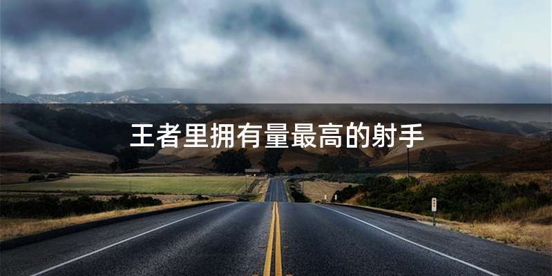 王者里拥有量最高的射手