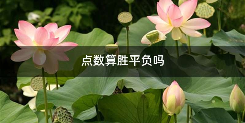 点数算胜平负吗