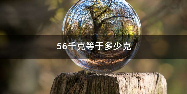 56千克等于多少克