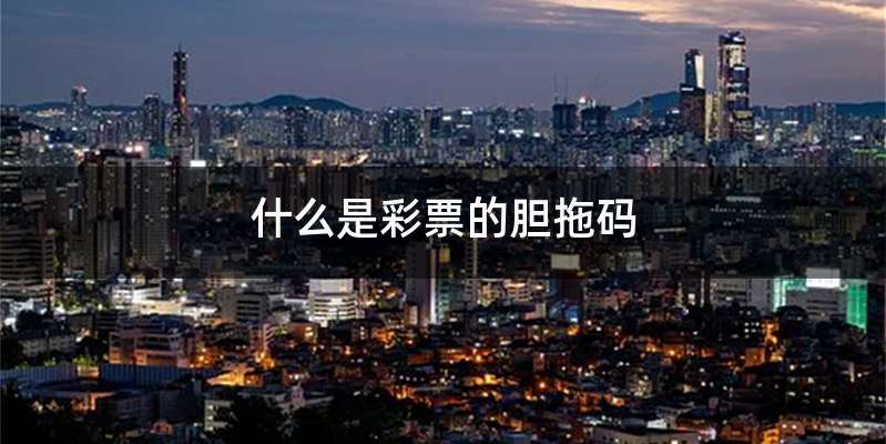 什么是彩票的胆拖码