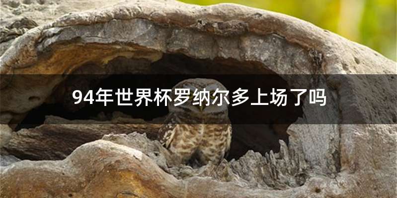 94年世界杯罗纳尔多上场了吗