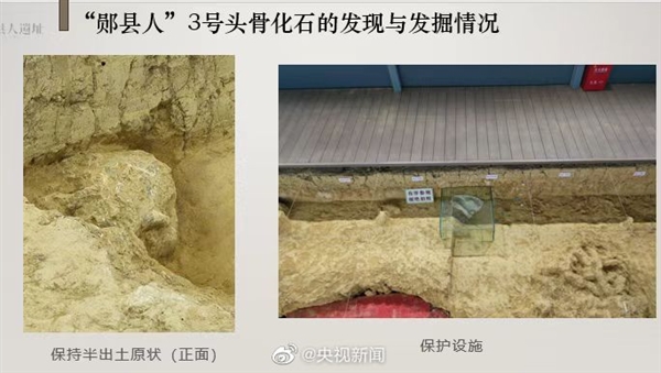 湖北发现距今百万年人类头骨化石：保存完整 具古人类性状