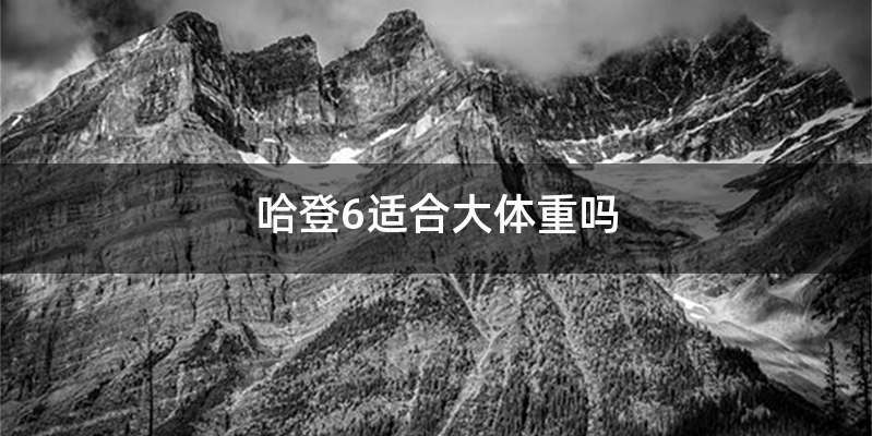 哈登6适合大体重吗