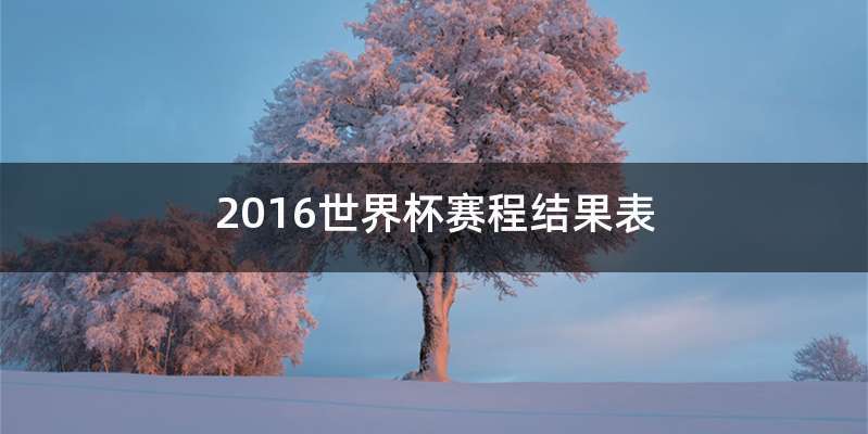 2016世界杯赛程结果表