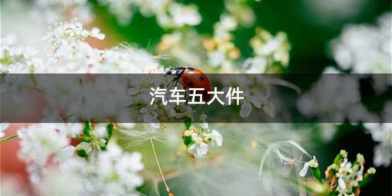 汽车五大件
