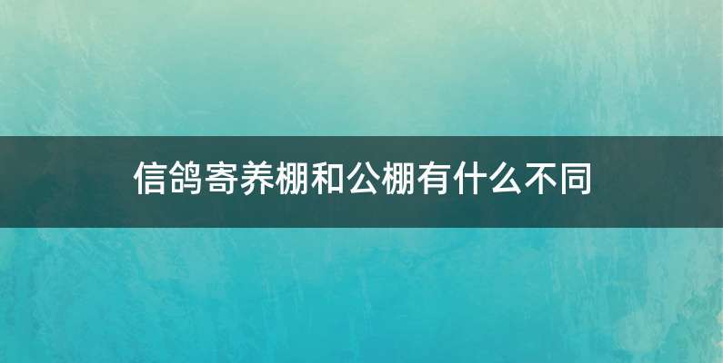 信鸽寄养棚和公棚有什么不同