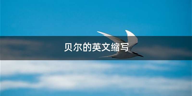 贝尔的英文缩写