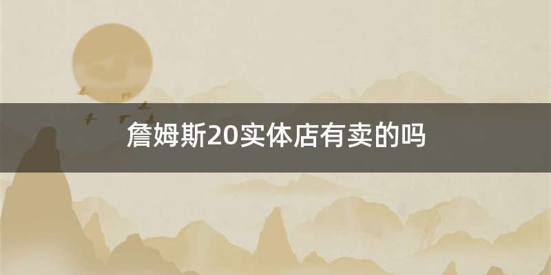 詹姆斯20实体店有卖的吗