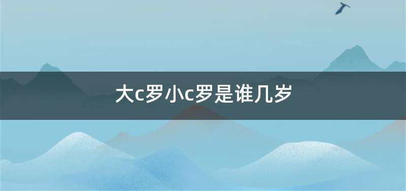 大c罗小c罗是谁几岁