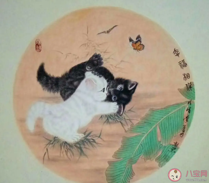 而"耄耋"自古以来被作为有八九十高龄的老人的称呼,于此,"猫与蝶"在一