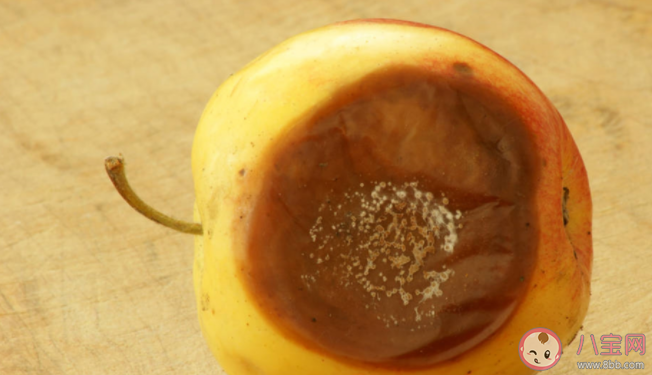 常见食物发霉处理方式 怎样延长食物的保鲜时间