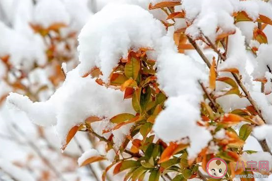 2019下雪了适合下雪天发的唯美说说 下雪了真好心情短语