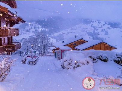 2020下雪天图片心情短句 2020年下大雪了浪漫说说配图