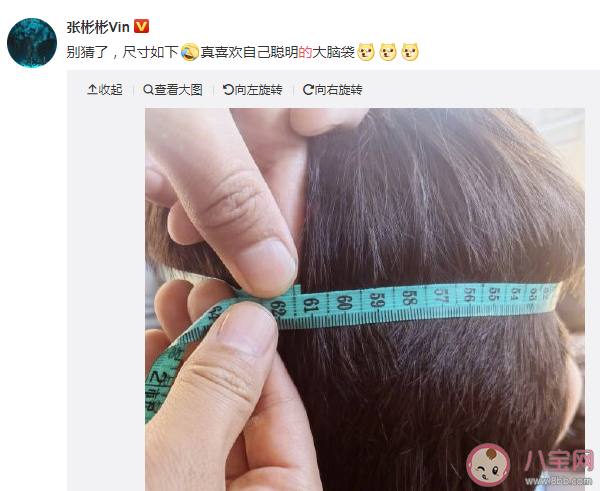 景甜的手和张彬彬的头对比图 张彬彬头围是多少