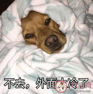 冬天起床困难的朋友圈说说2019 冬天起不来的心情句子