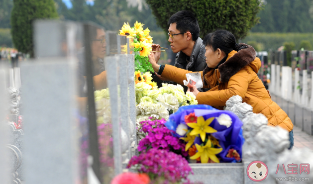 2021年清明节可以扫墓吗 清明节扫墓都有哪些忌讳
