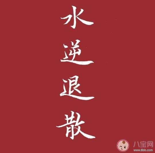 2020年新的一年的新的开始朋友圈说说 新的一年新新希望祝福语
