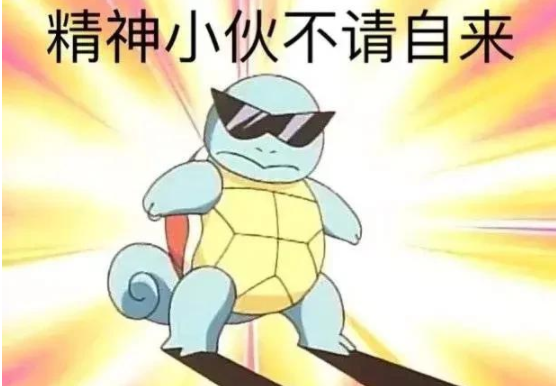 杰尼龟表情包为什么这么火 杰尼龟表情包合集