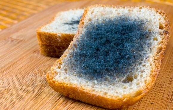 宝宝吃了发霉的食品怎么办 吃发霉的食品有哪些隐患