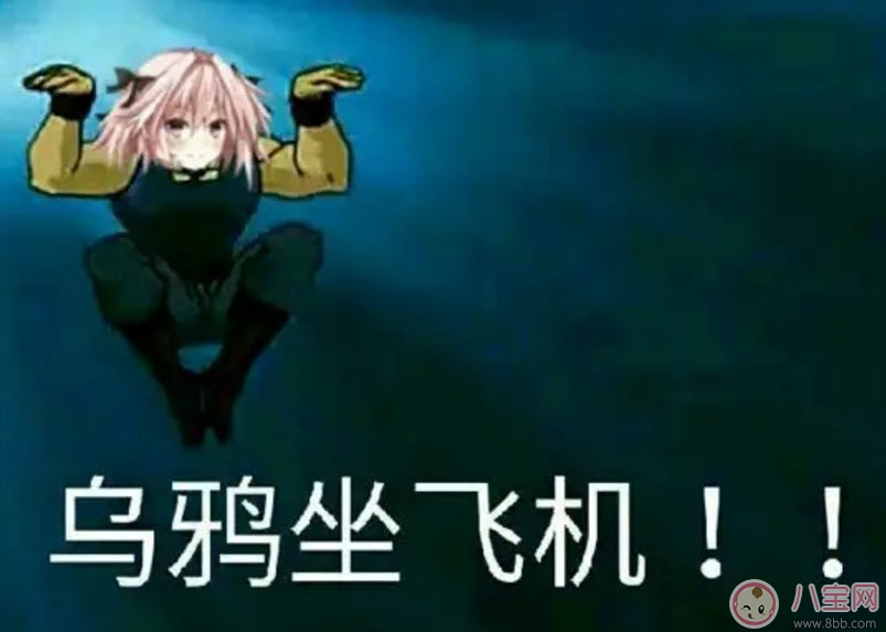 b站乌鸦坐飞机